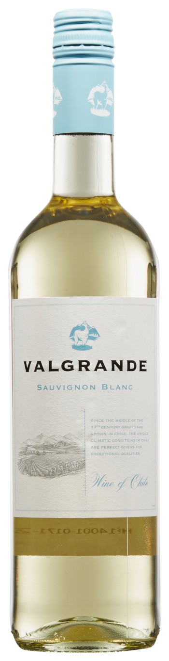 Appellatie Valle Central, 2024, sauvignon blanc