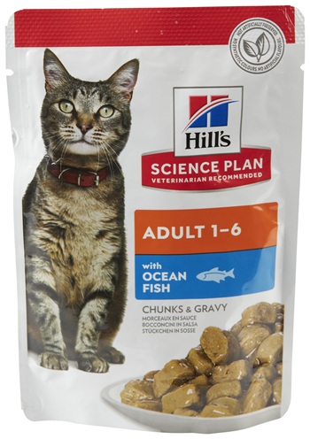 ADULT 1-6 WITH OCEAN FISH