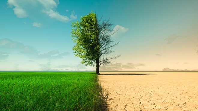 Klimaatverandering