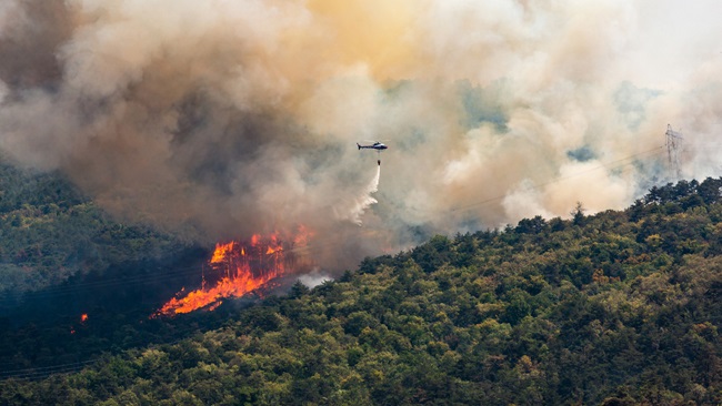 bosbranden op vakantie