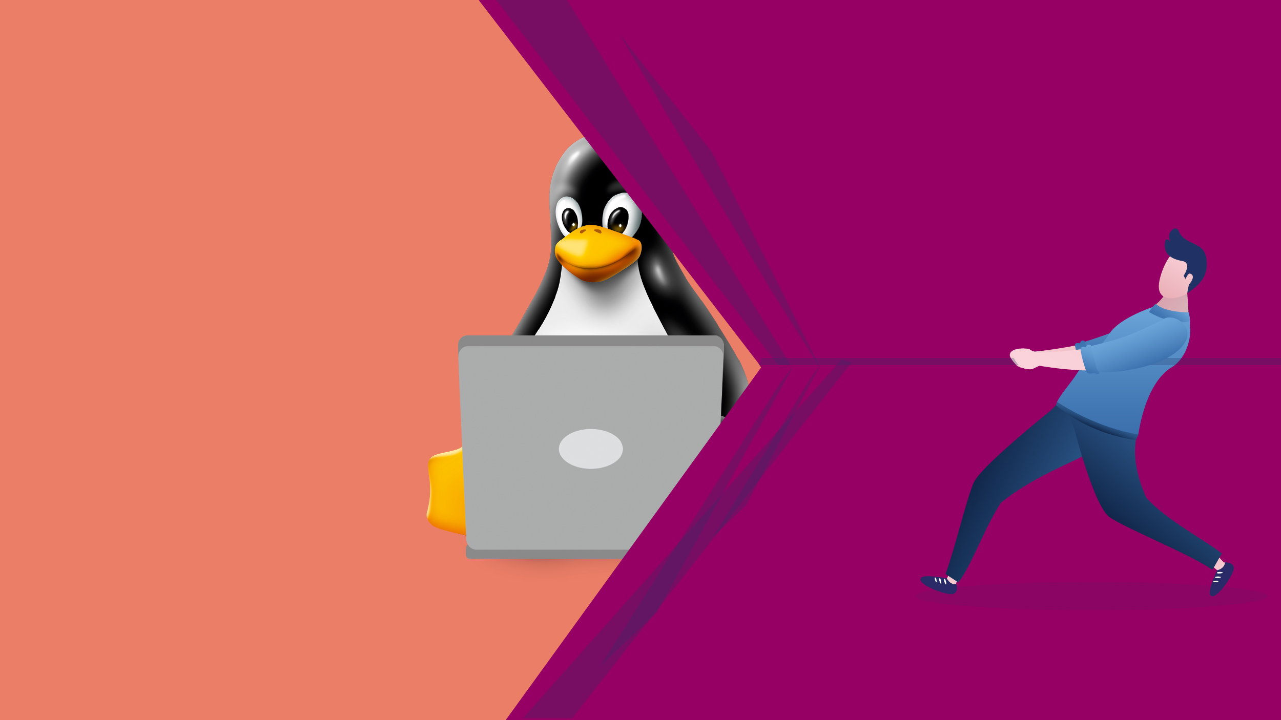 overstappen van Windows naar Linux