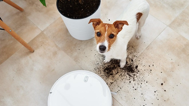 robotstofzuiger voor dierenhaar