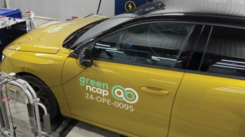 green ncap