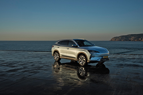 zijaankicht byd seal u