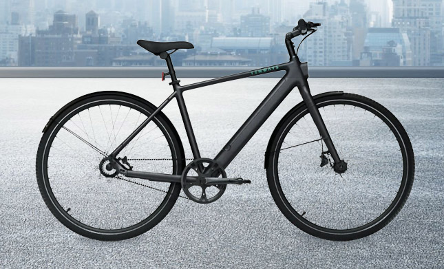 elektrische fiets Tenways CGO600PRO