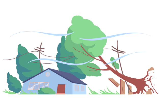 boom beschadigt huis buurman verzekering