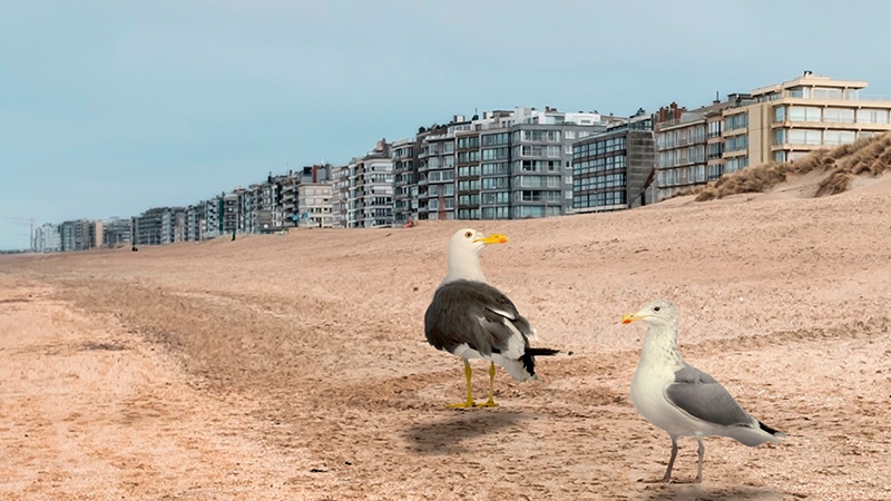 Appartementsblokken aan de kust