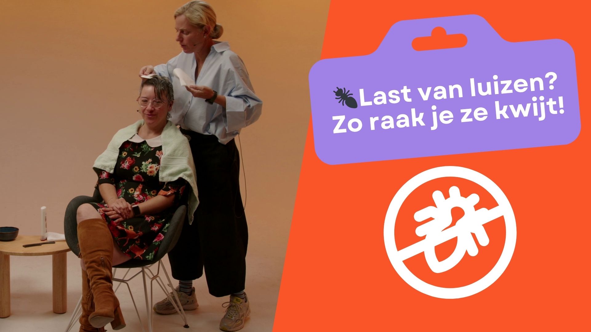 Hoe krijg je luizen snel weg?