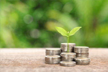 Beleggers hebben steeds meer interesse in “groene” obligaties