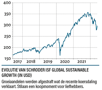 U mag in internationale aandelen beleggen via het fonds Schroder ISF Global Sustainable Growth